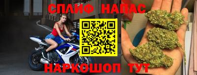 хмурый Краснодар