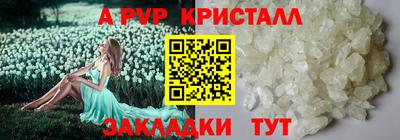 хмурый Краснодар