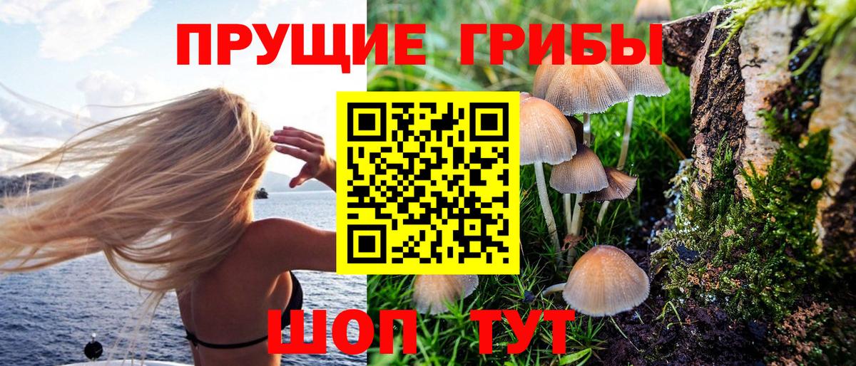 Галлюциногенные грибы Cubensis Ижевск