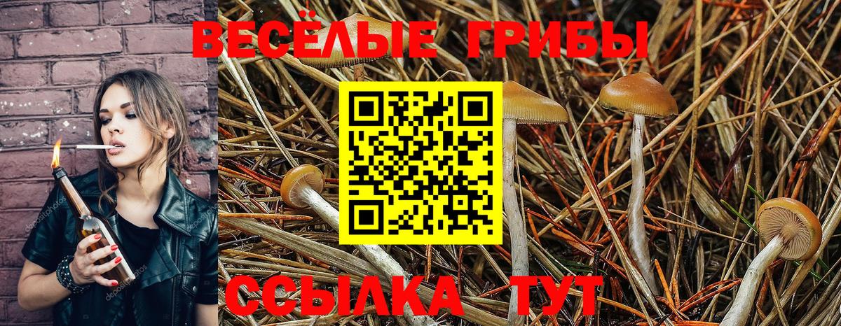 Ижевск  Галлюциногенные грибы мицелий  Вход с VPN 